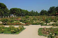 Madrid Travel Guide