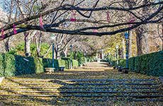 Madrid Travel Guide